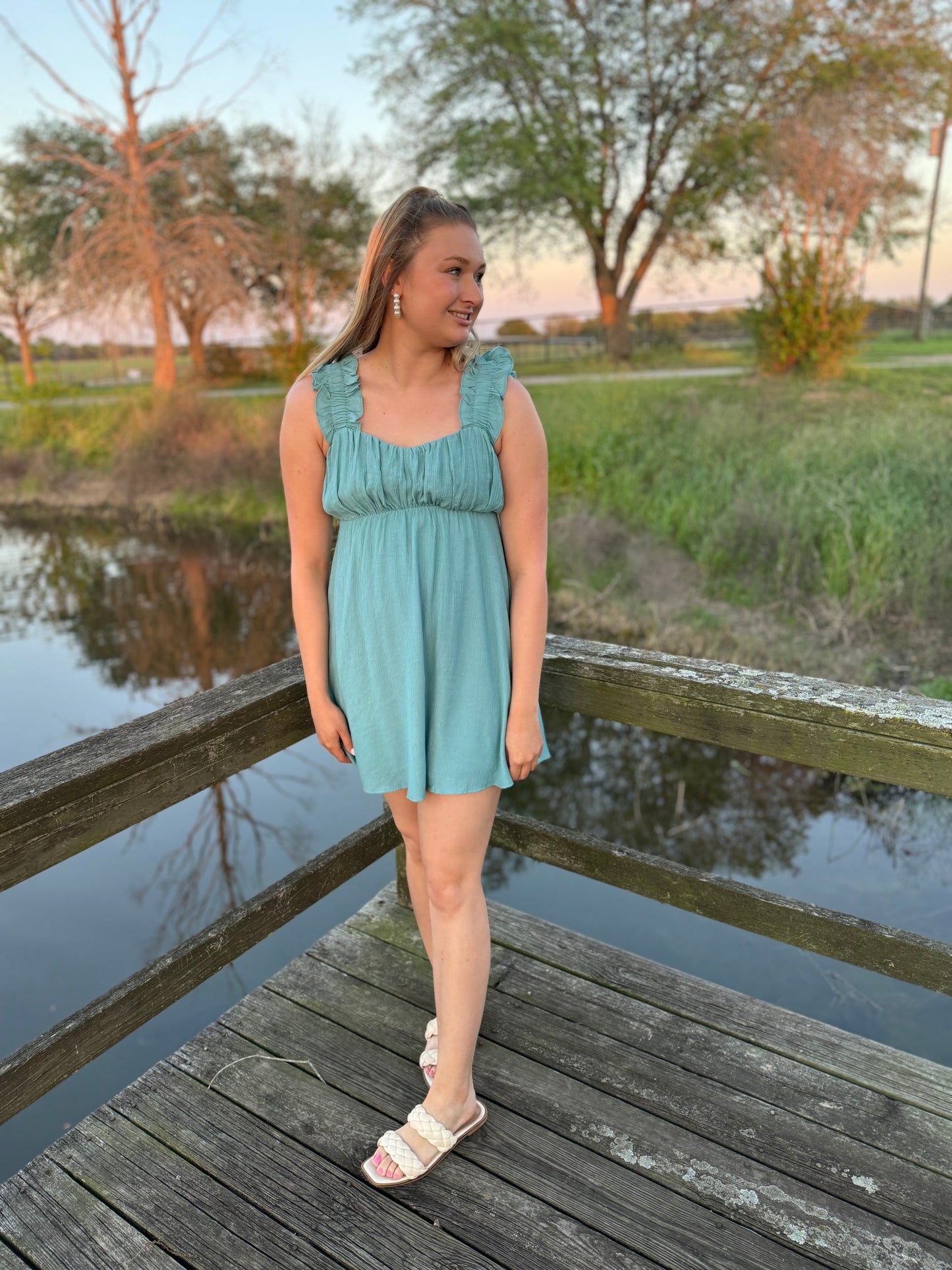 Bluebonnet Dress