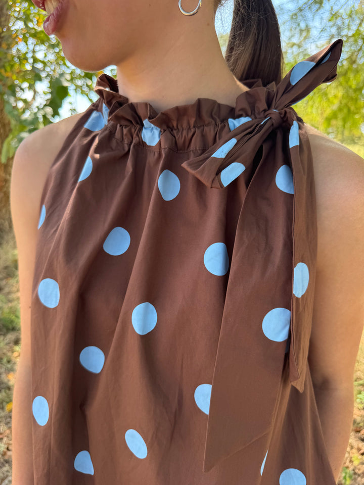 Dana Brown Tie Polka Dot Dress