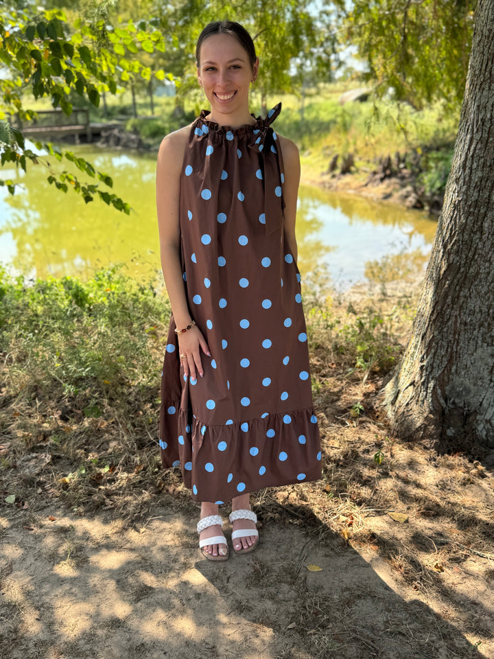 Dana Brown Tie Polka Dot Dress