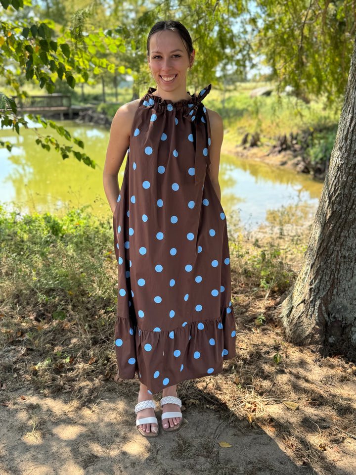 Dana Brown Tie Polka Dot Dress