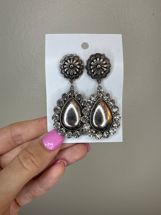 Rodeo Earrings