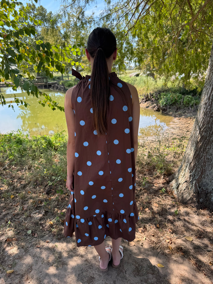 Dana Brown Tie Polka Dot Dress