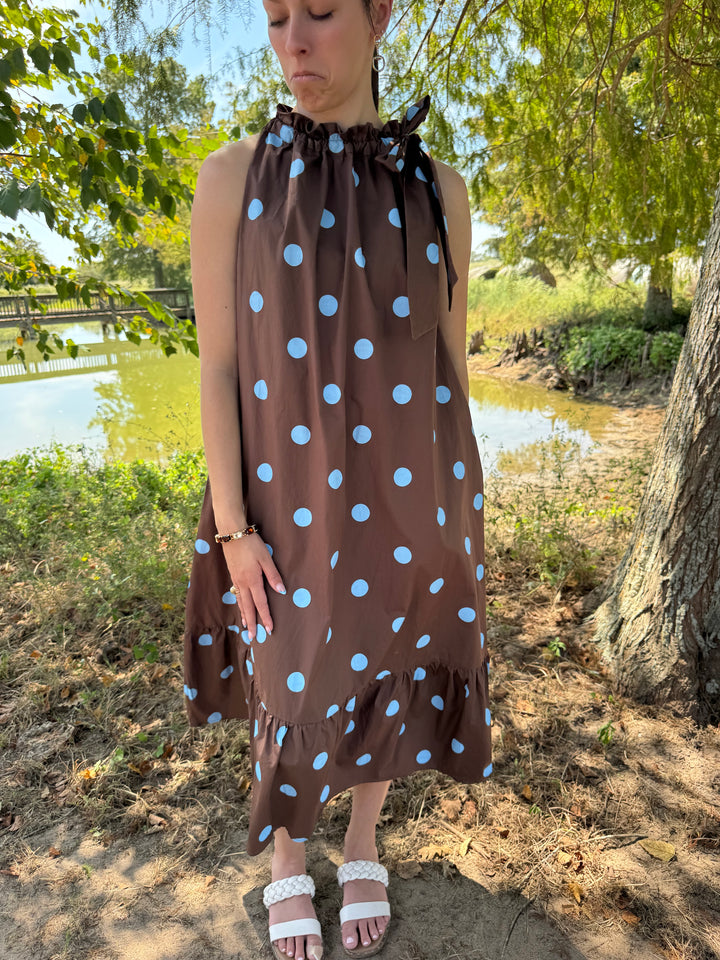 Dana Brown Tie Polka Dot Dress