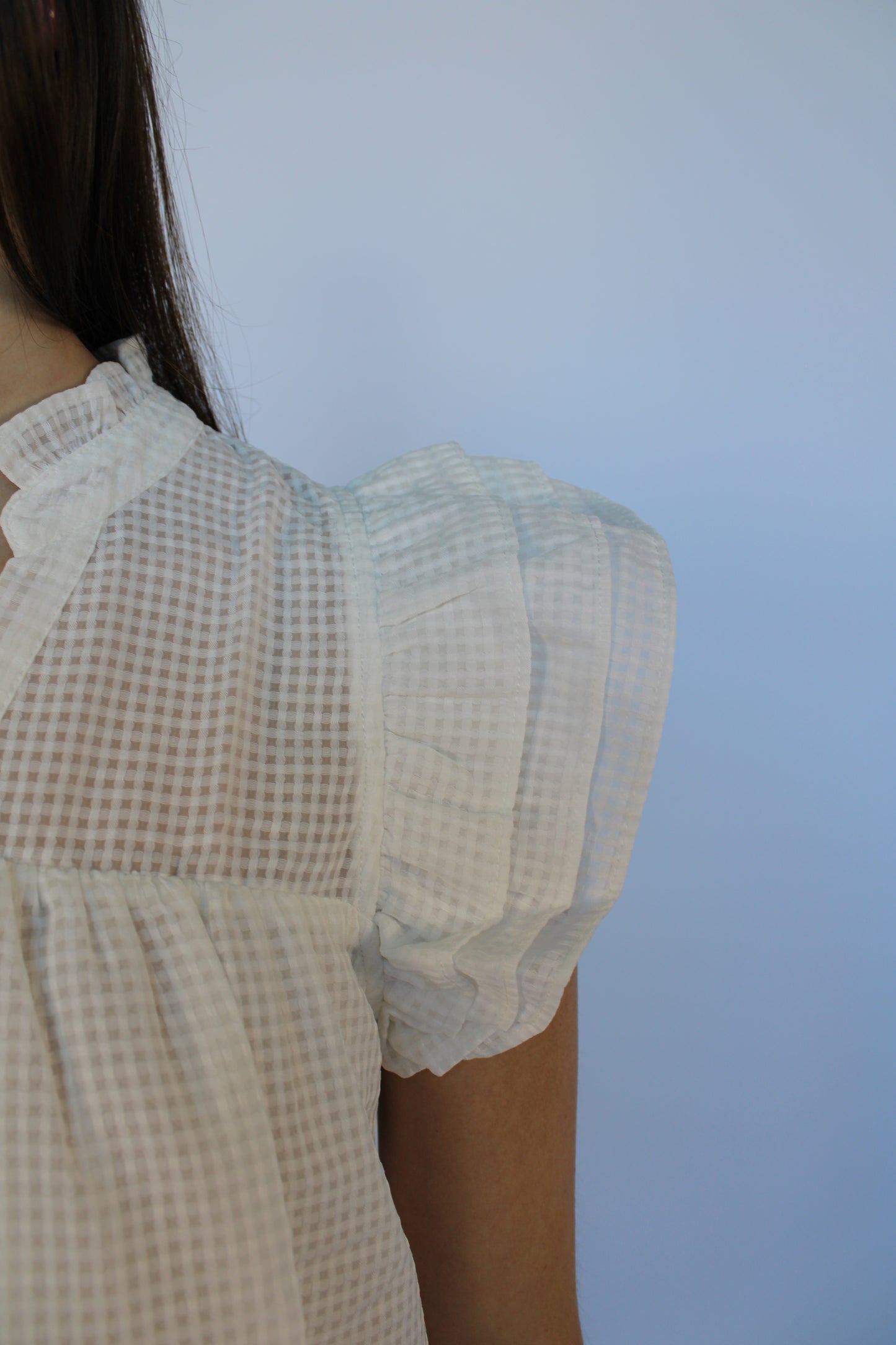 Light blue checkered dress with ruffled sleeves on a light blue background